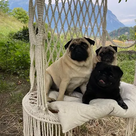 Διαμέρισμα Old Loft Near Vaduz