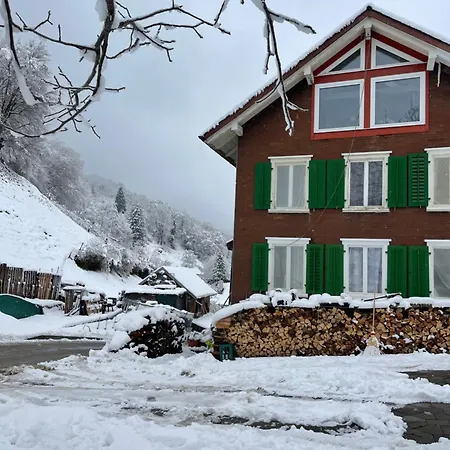Old Loft Near Vaduz Daire