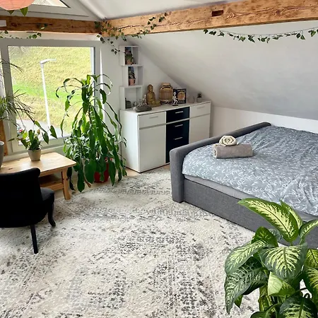 Old Loft Near Vaduz Apartamento Sevelen