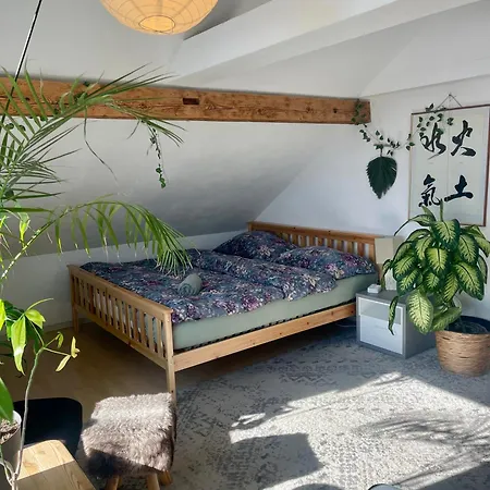 Daire Old Loft Near Vaduz