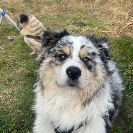 Old Loft Near Vaduz Appartement