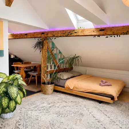 Old Loft Near Vaduz Apartment