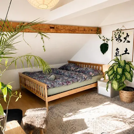 Old Loft Near Vaduz Apartment
