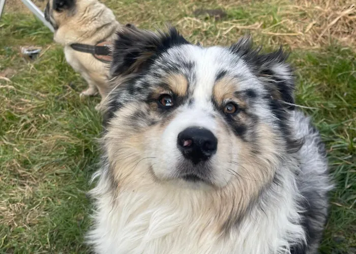 Old Loft Near Vaduz Appartement