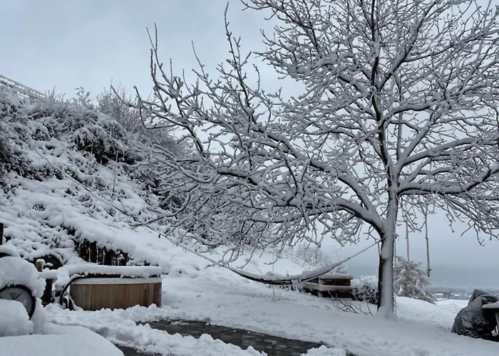 Апартаменты Old Loft Near Vaduz