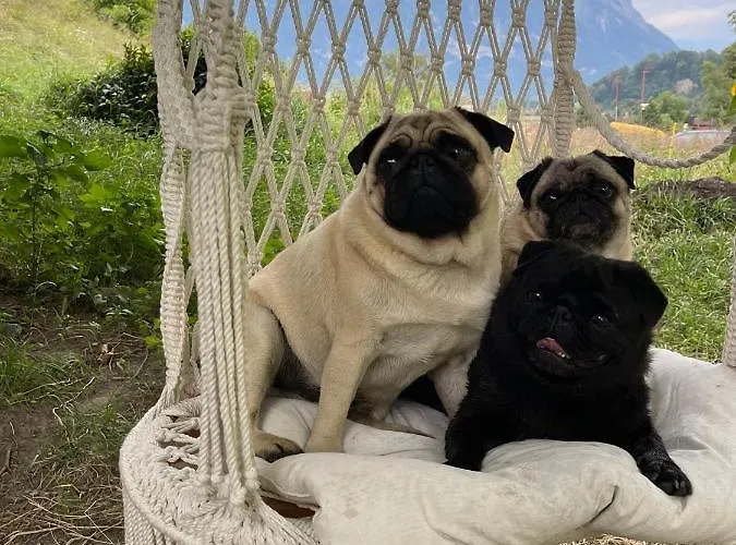 Lejlighed Old Loft Near Vaduz